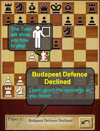 Chess Chess